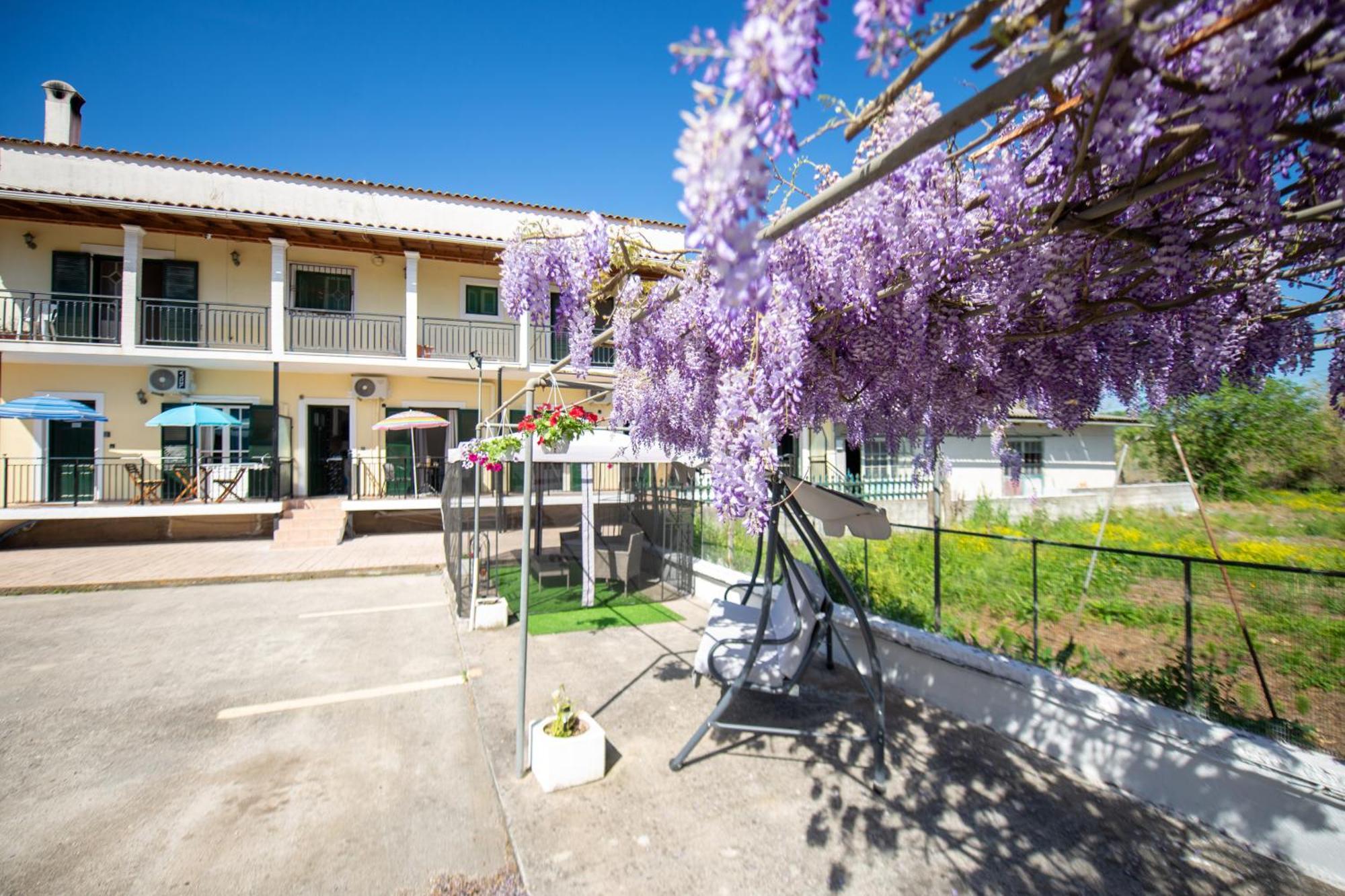Ionian Luxury Apartments Perama  Buitenkant foto